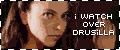 I watch Drusilla